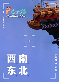 南北西东dj完整版